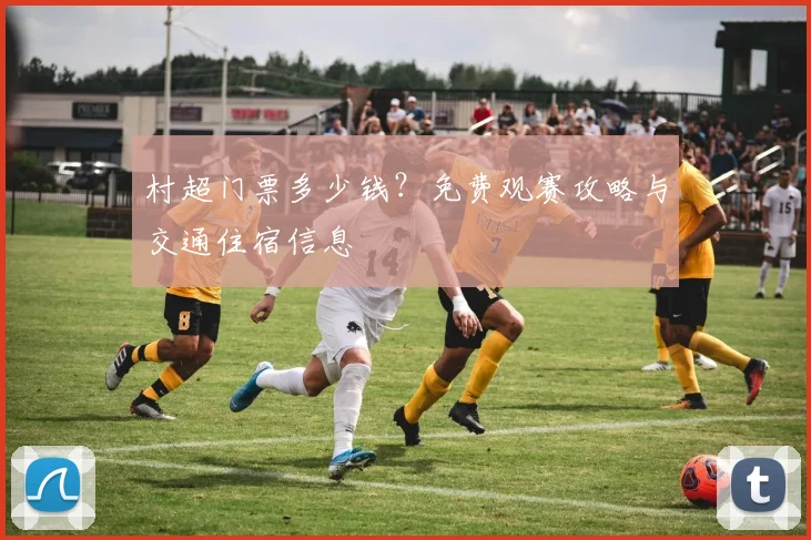 村超门票多少钱?免费观赛攻略与交通住宿信息